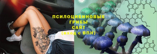 кристаллы Бородино